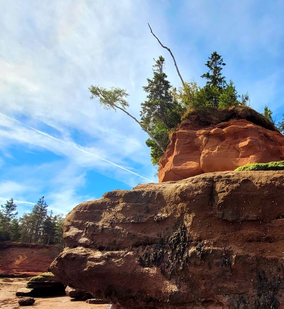 Red sandstone cliffs at Burntcoat Head along the Minas Basin, Bay of Fundy