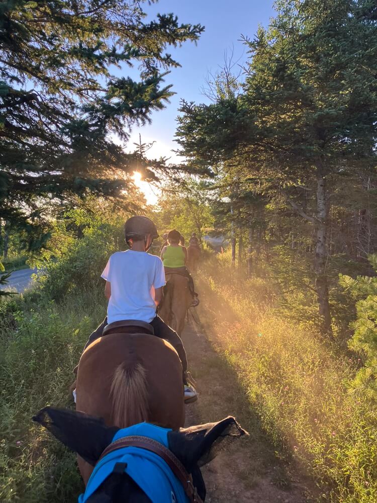Evening horseback ride through forest trails near Stanley Nova Scotia.