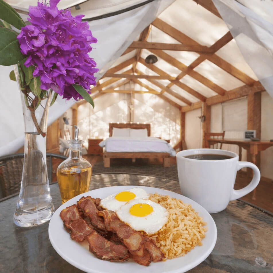 In-tent breakfast add-on at NATURA Wilderness Resort, a forest glamping retreat in Nova Scotia